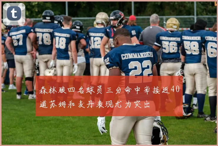 森林狼四名球员三分命中率接近40道苏姆和麦丹表现尤为突出
